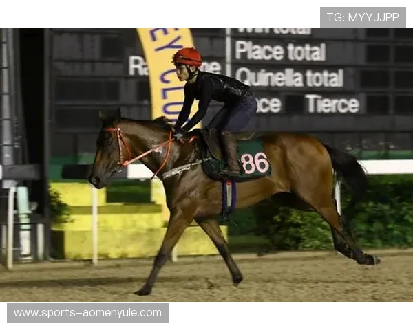 澳门赛马年度比赛时间安排及重要赛事日期全景介绍